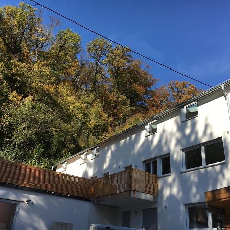 Ferienwohnungen Lamisto Am Waldesrand Neckartenzlingen エクステリア 写真
